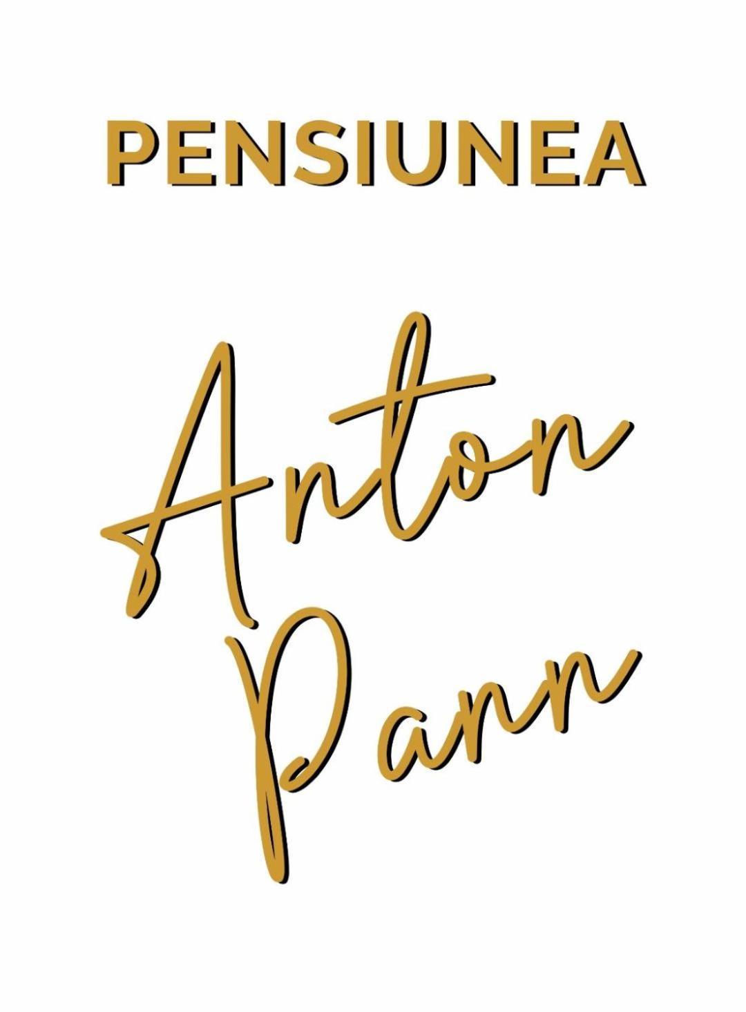 Pensiunea Anton Pann Σίμπιου Εξωτερικό φωτογραφία